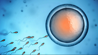 You Could Soon Slap Barcodes on Your Sperm or Egg